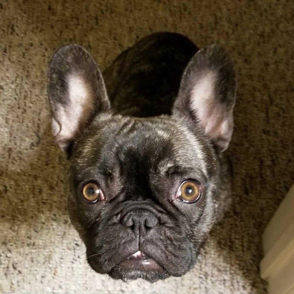 Meet your Posher, Kristin